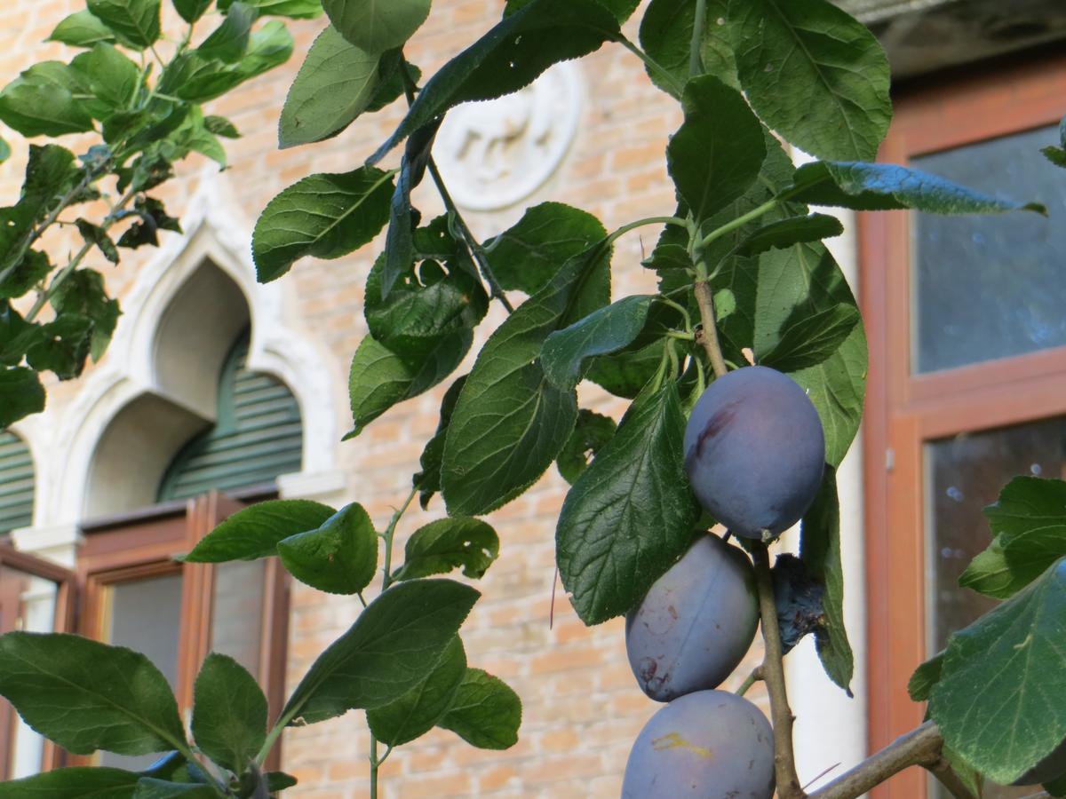 Villa Elisabetta Lido de Venecia Exterior foto